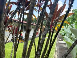 Binjai Park (D21), Detached #594583571